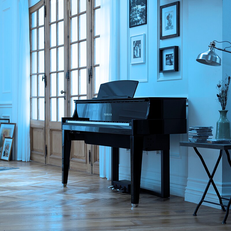 N1X - Overzicht - AvantGrand - Producten - Piano's