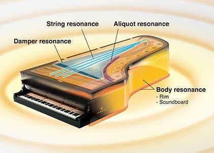 CLP-635 - Overzicht - Clavinova - Producten - Piano's