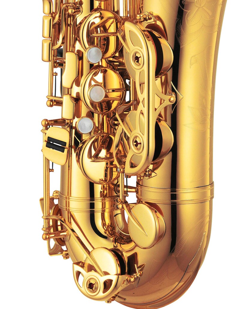 Afzonderlijke stijlklepbescherming