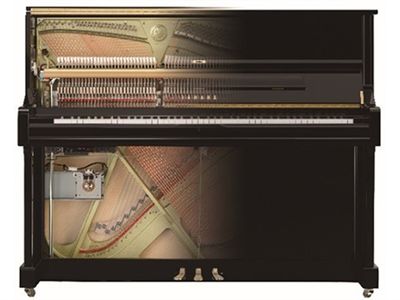 Hybride pianosysteem 'TransAcoustic TA2'
