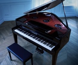 De piano bespelen - de pianist bevrijden van alle beperkingen. En vervolgens het plezier van het transformeren van de handeling van het spelen tot iets nieuws ...