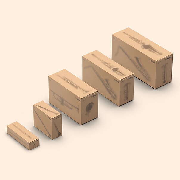 packaging for entry-level wind instruments