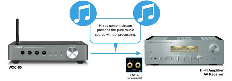 MusicCast WXC-50 - Overzicht - Wireless Streaming Amplifiers