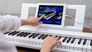 NP-32/12 - Overzicht - Portable keyboards - Producten - Keyboards