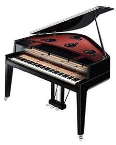 N3X - Overzicht - AvantGrand - Producten - Piano's