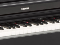YDP-163 - Overzicht - ARIUS - Producten - Piano's