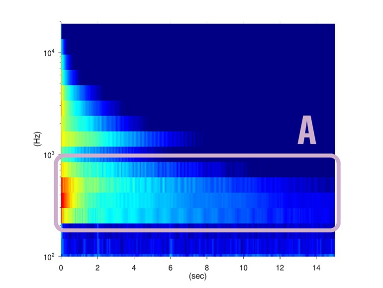 Akoestische eigenschappen bij gebruik van SECW-ringen. Groter volume en langere sustain in de lage frequenties