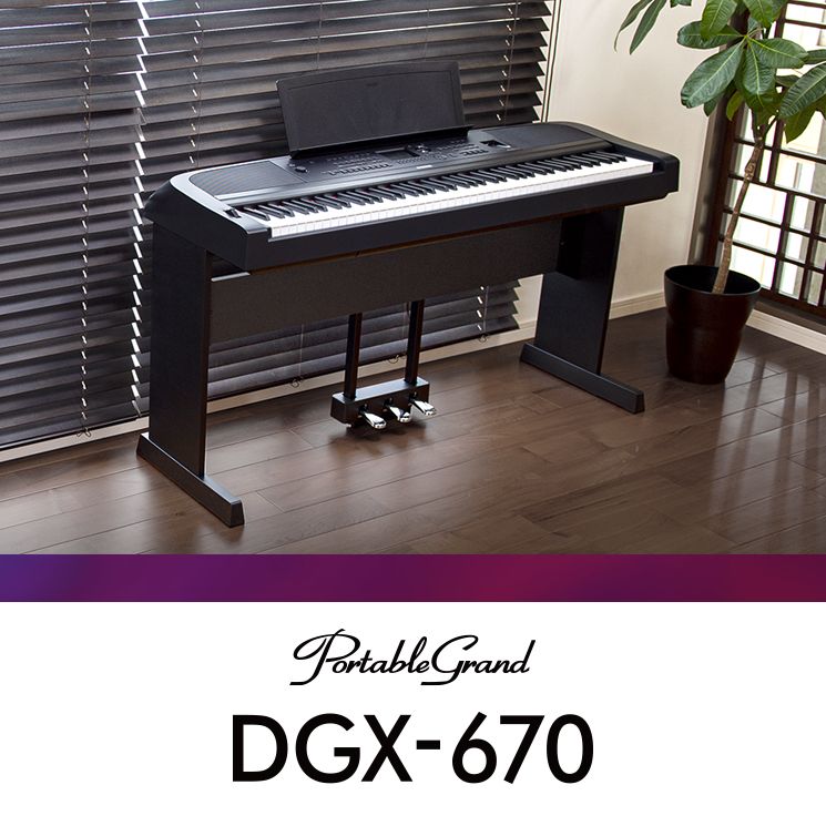 dgx670 stand