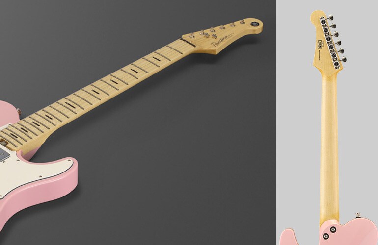 Close-upfoto van de nekvorm van de Pacifica SC Professional