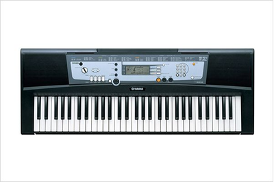 PSR-E213