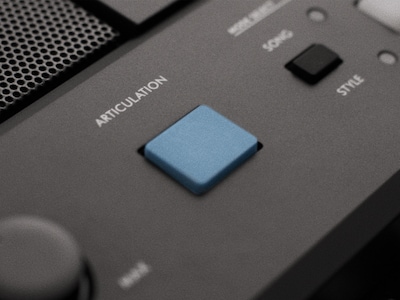 PSR-E483 Hoofdafbeelding van ARTICULATIE-knop