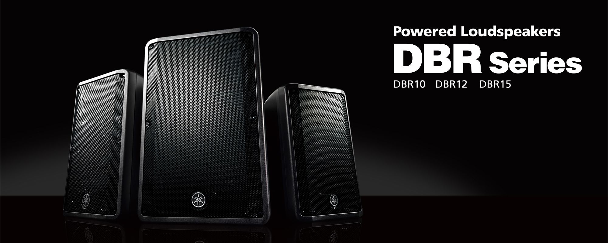 dbr12 speaker