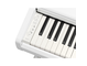 YDP-146_Wit_klavier_links