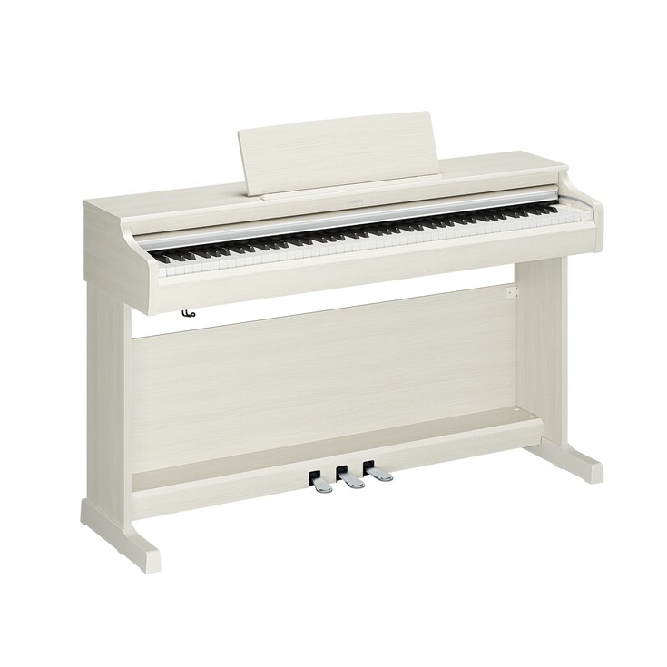 YDP-166_Wit berken_perspectief