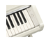 YDP-166_Wit berken_klavier_rechts