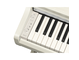 YDP-166_Wit berken_klavier_links