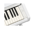 YDP-166_Wit_klavier_rechts