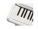 YDP-166_Wit_klavier_links
