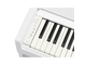 YDP-S36_Wit_klavier_links