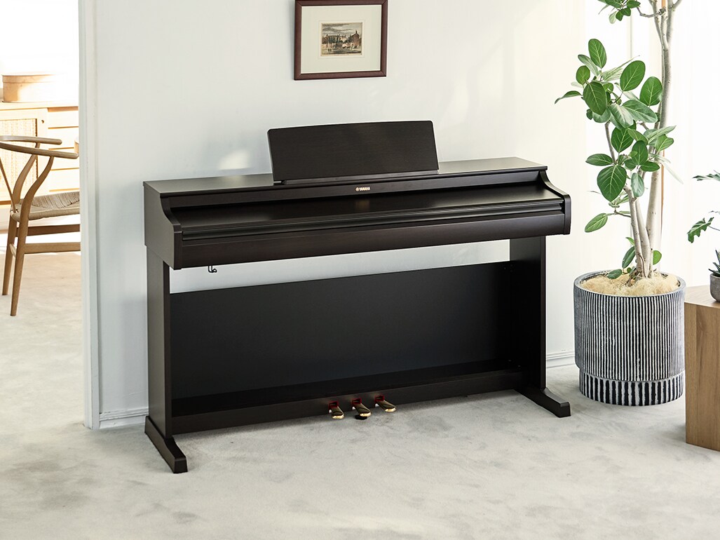 Het compacte en verfijnde ontwerp van ARIUS-digitale piano’s gaat op natuurlijke wijze op in woonkamers.