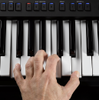 Yamaha Keyboard PSR PSR-SX900 PSR-SX700