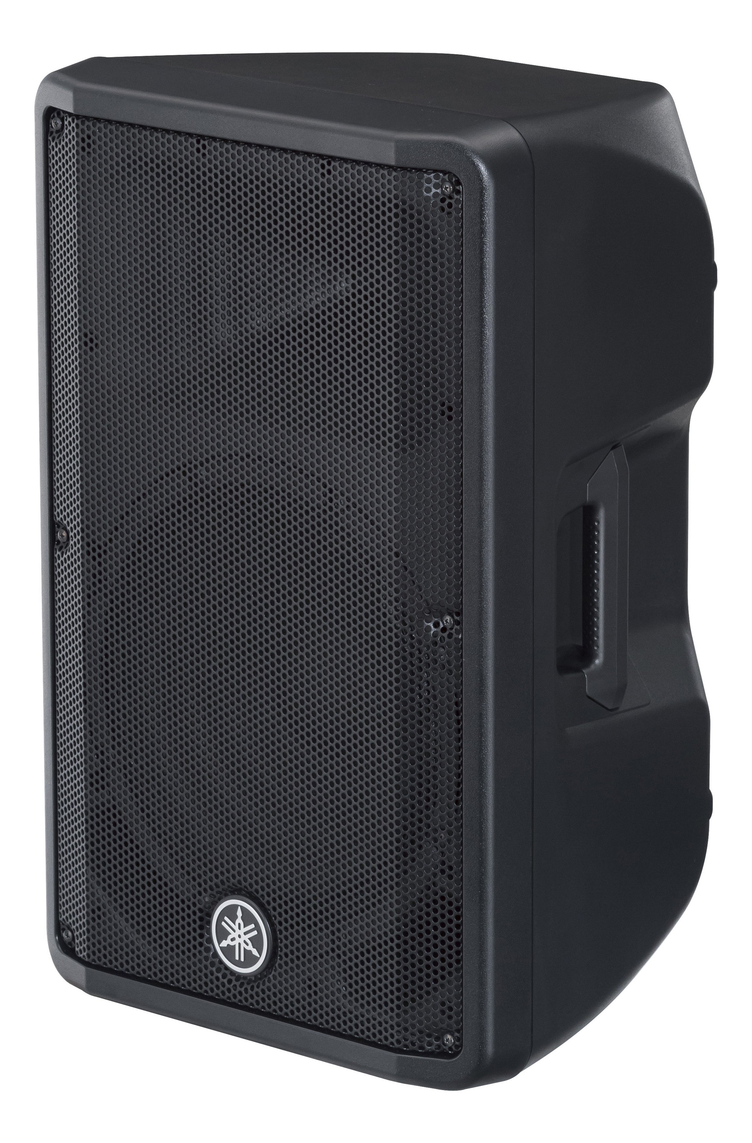 dbr12 speaker