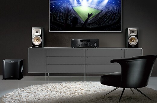 R-N803 - Overzicht - Hifi-componenten - Producten - Home Audio
