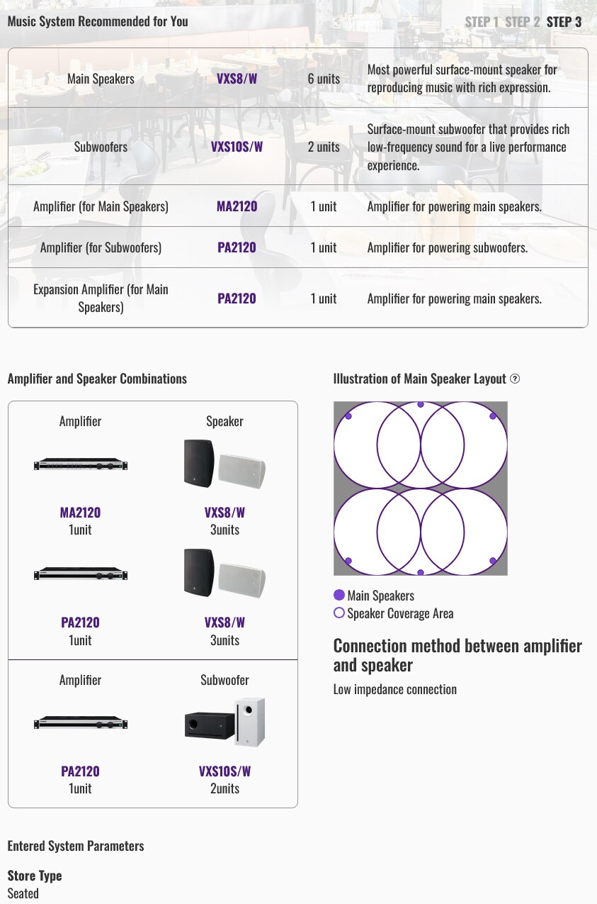 Actual image of YIMSA STEP 3, showing how to review the recommended systems.